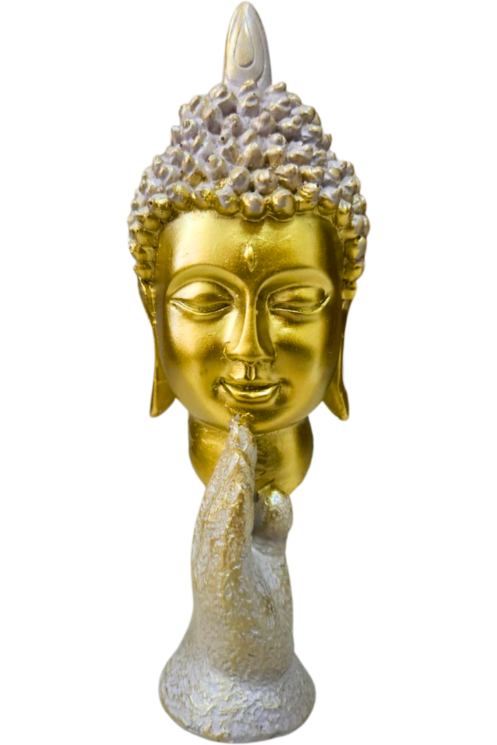 Buda mao peq. 1