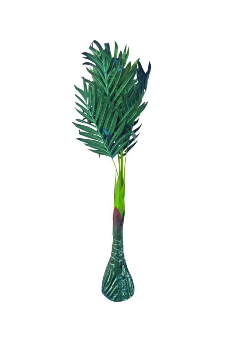 Palmeira para vaso 1