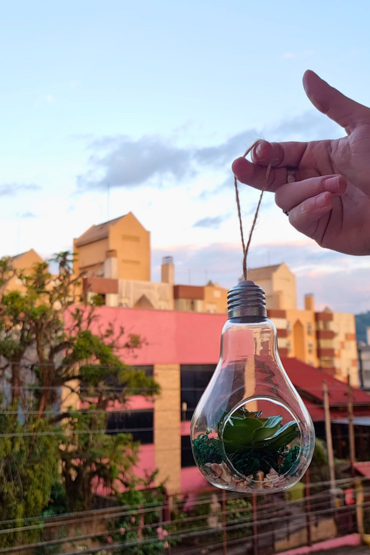 Enfeite lampada vidro c leguminosa wx77118 1