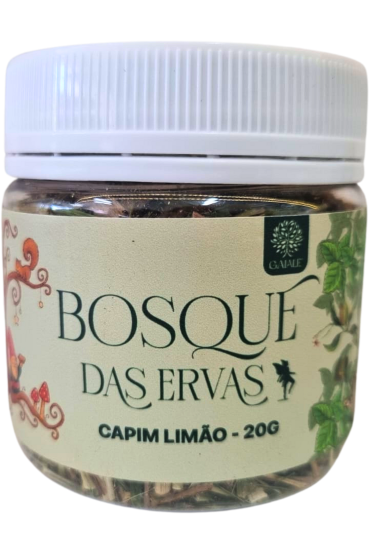 Capim limao 12