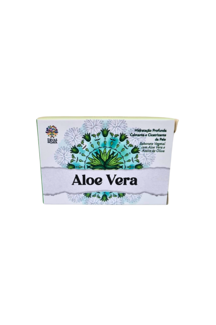 Aloe vera 1