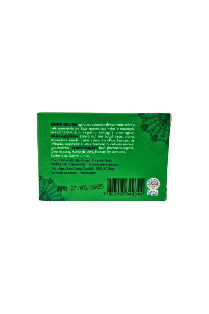Aloe vera 2
